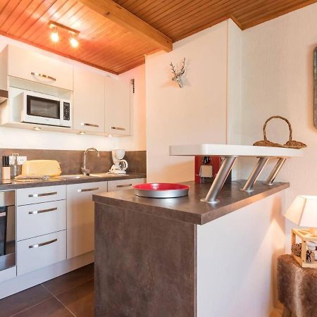 Studio Renove Pres Des Pistes, Parking, Cuisine Equipee - Fr-1-330F-63 Сер-Шевальє Екстер'єр фото